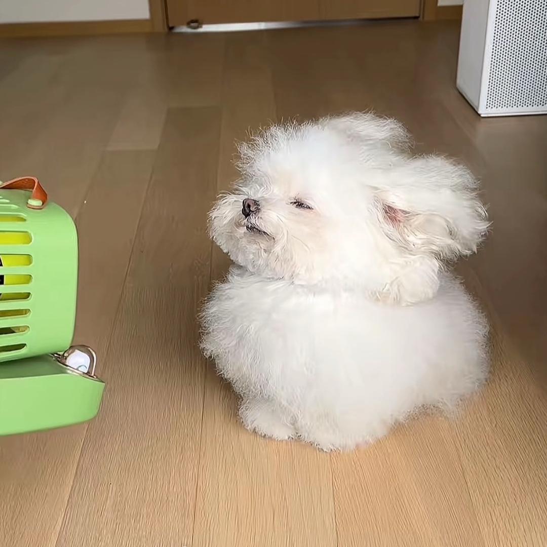 鬶䰃