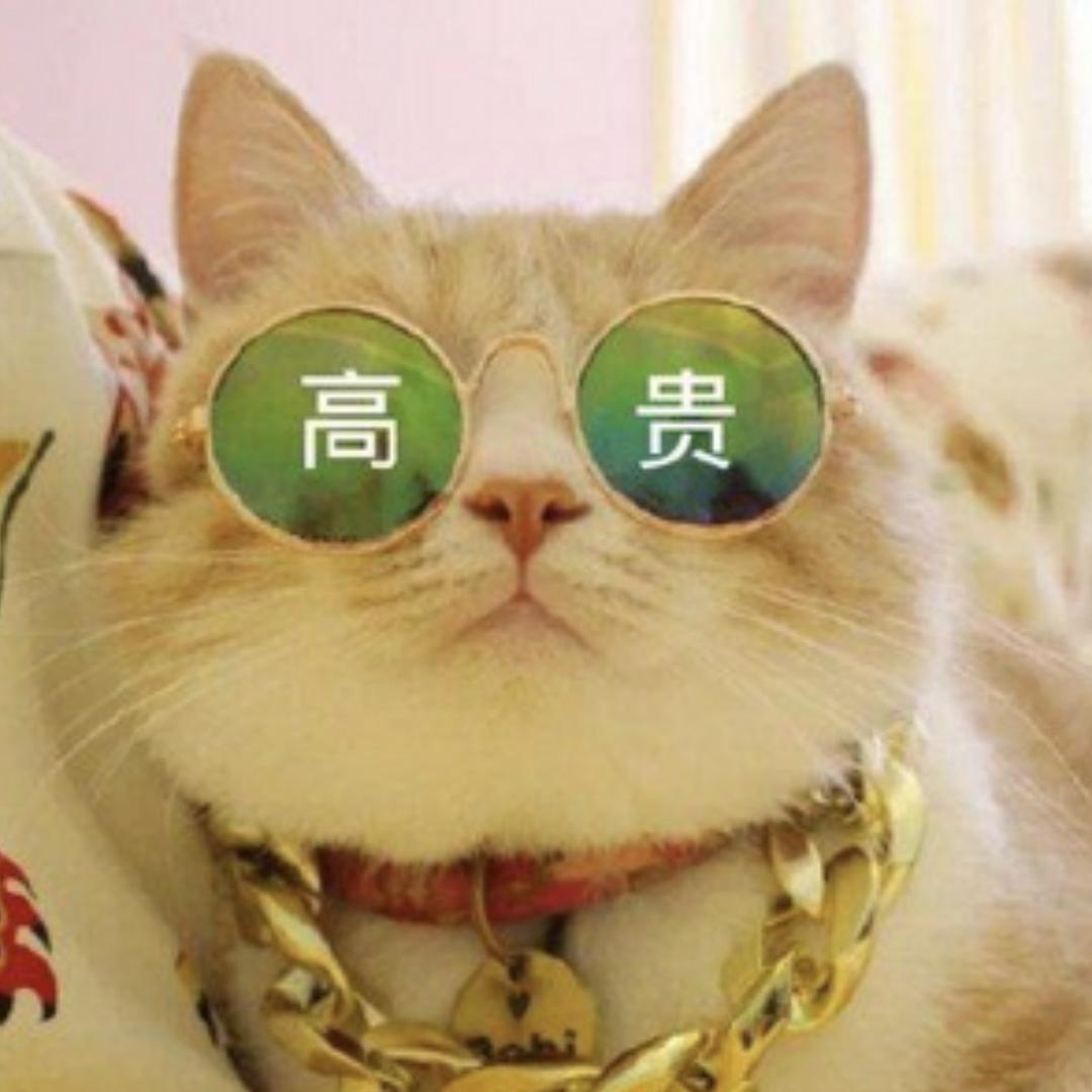 奶团萌宠店