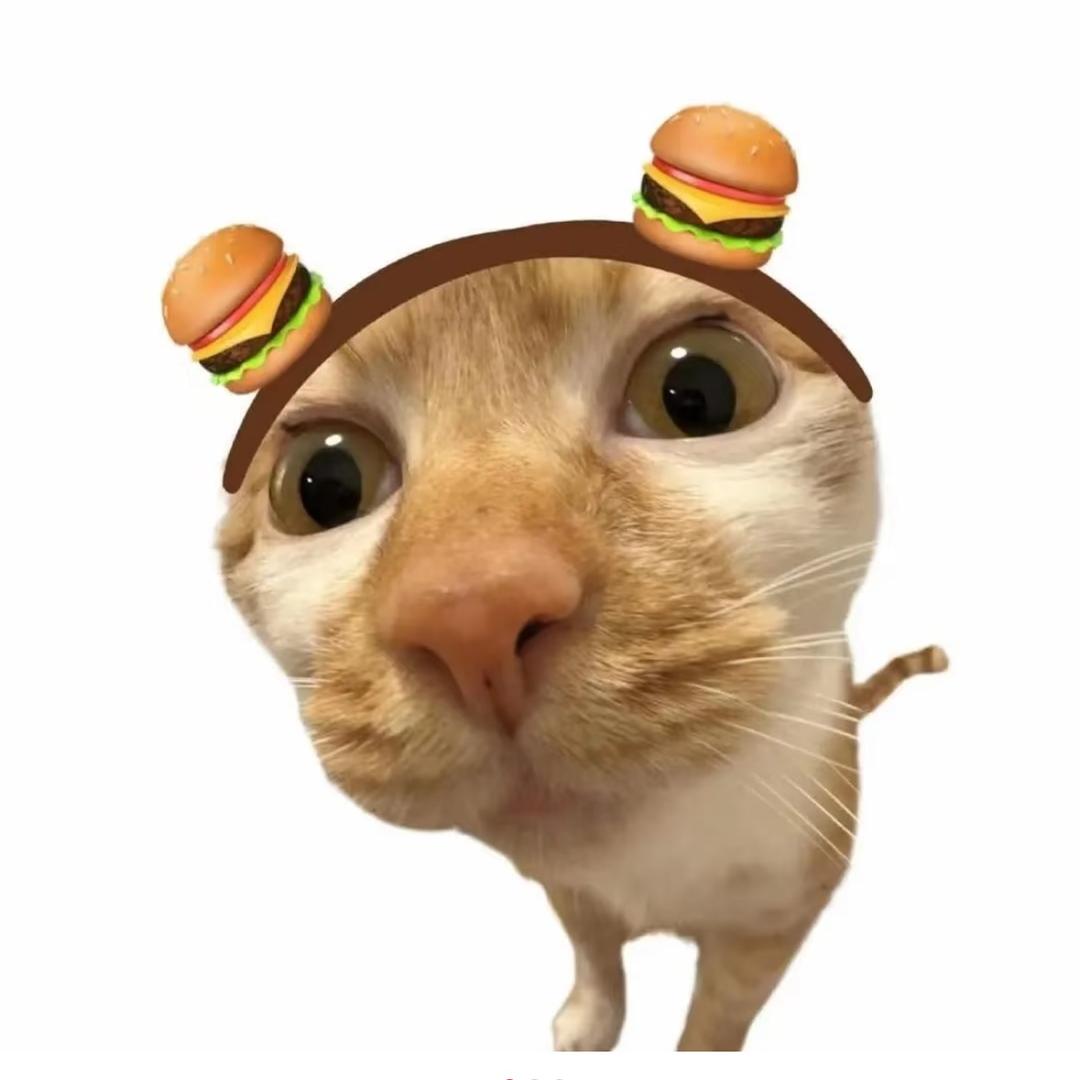 高冷玉米.