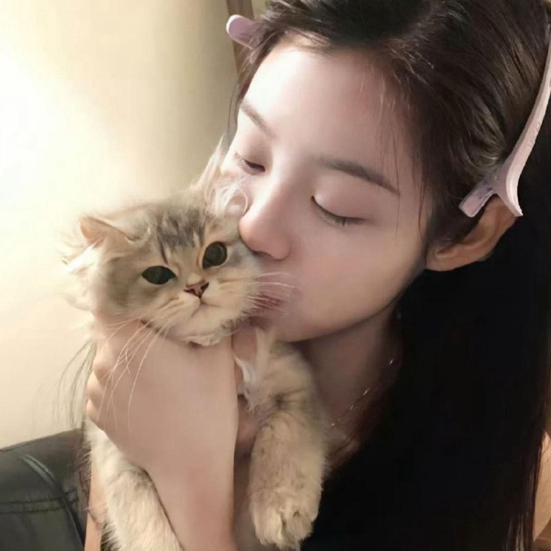 🧸