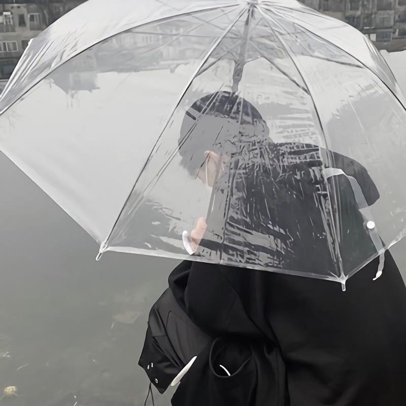 罗導