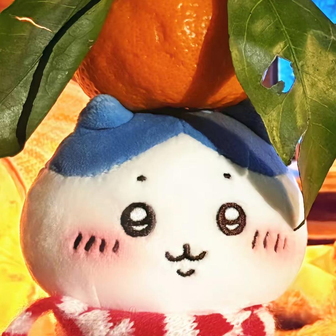 小卓sama