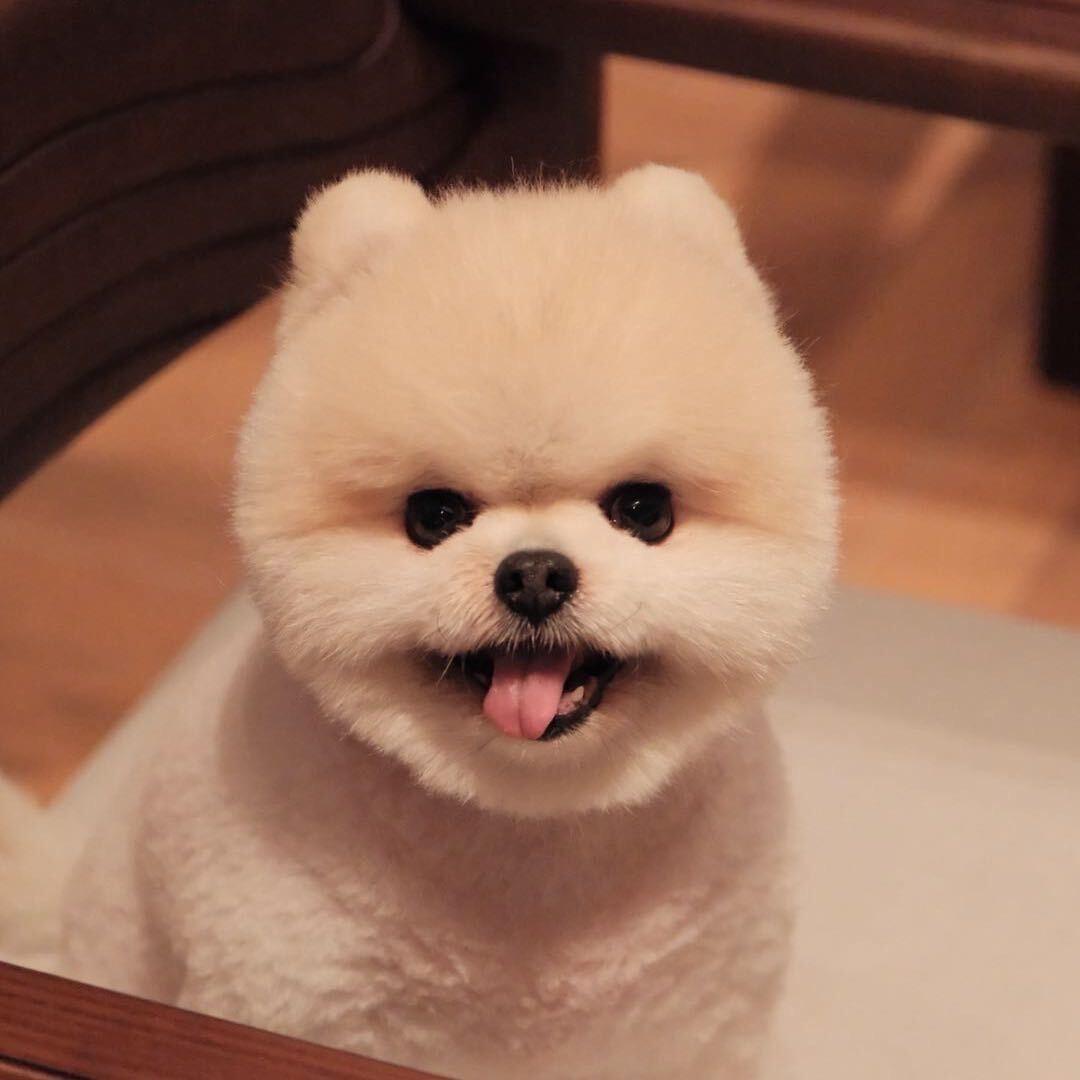 美晨