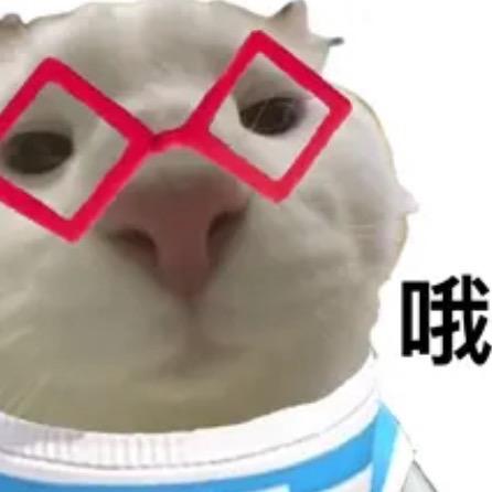 啊周