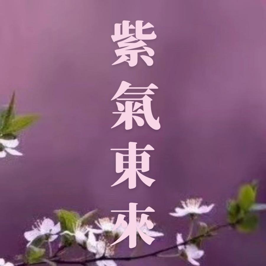 紫紫