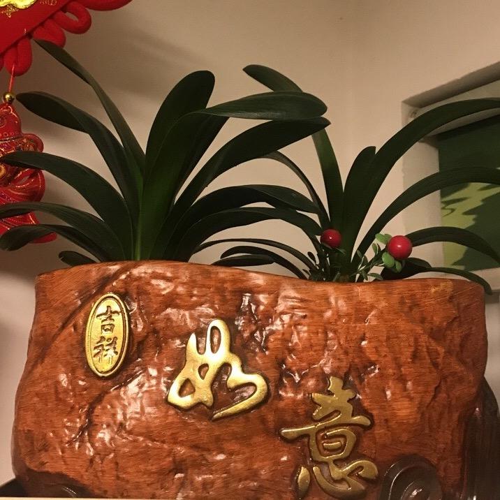 珍珠