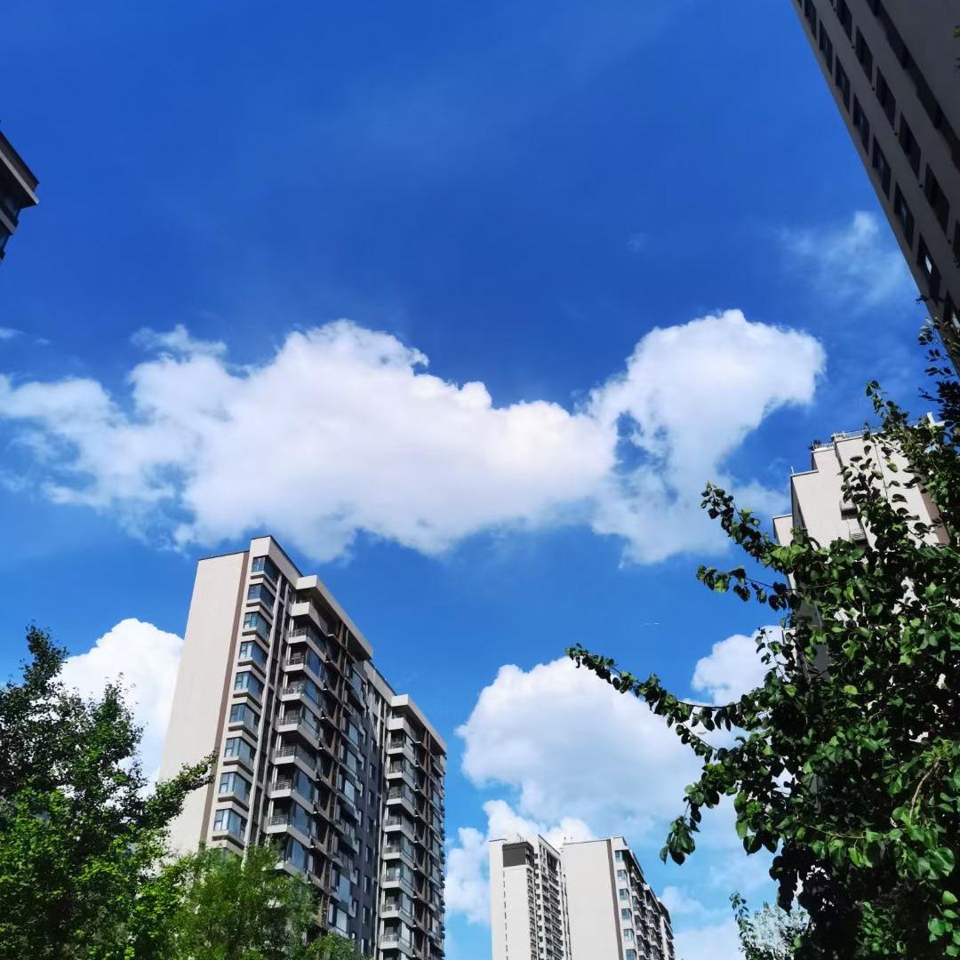 济南乐言房地产经纪有限公司