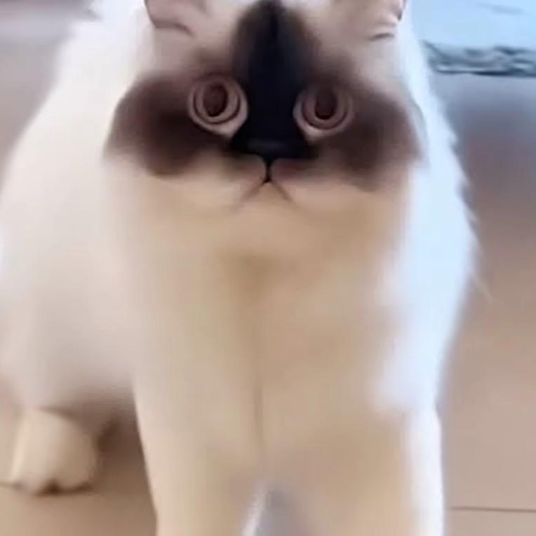 圈圈