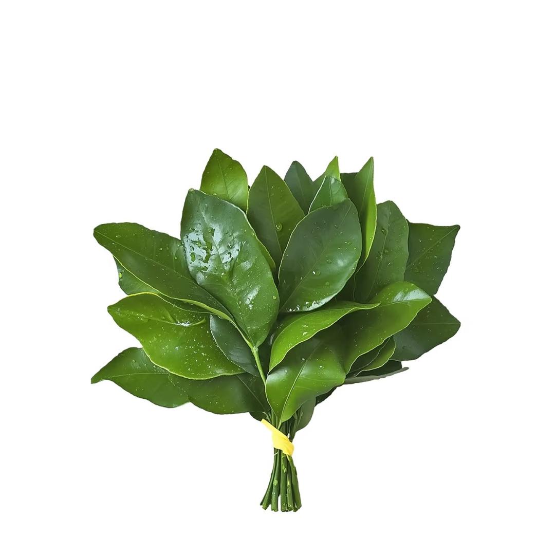 少来烦我