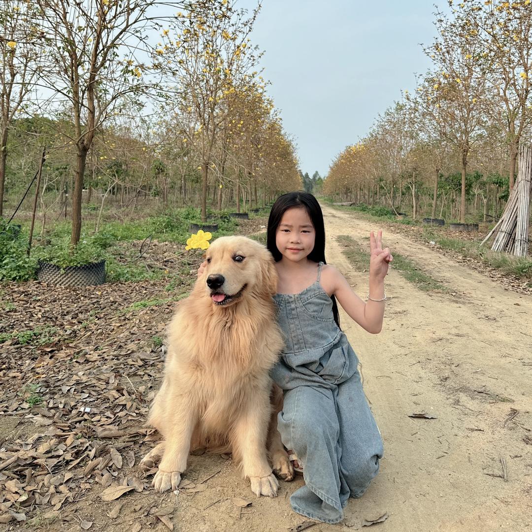 静静的