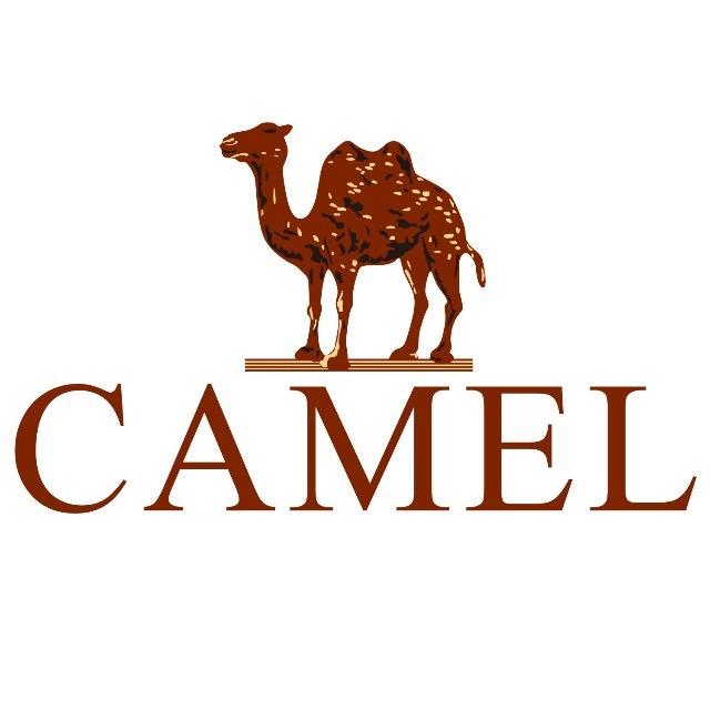 骆驼CAMEL赛格