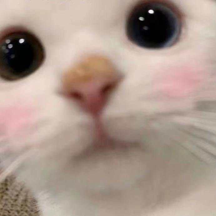 Dong_R^