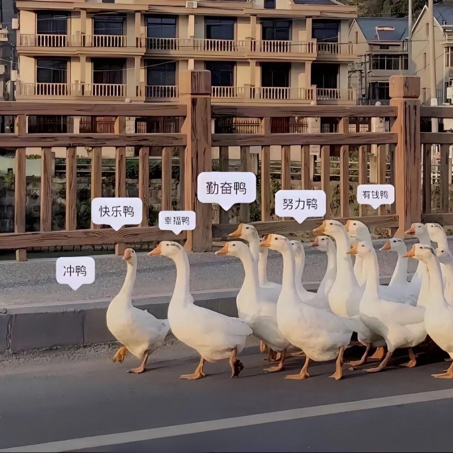 Fw斗魂