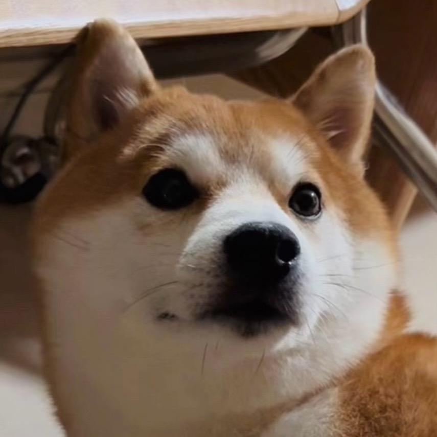 边渡友次子