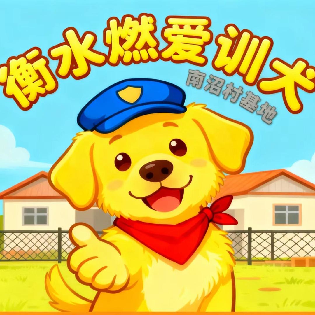 衡水燃爱训犬学校（南沼基地）