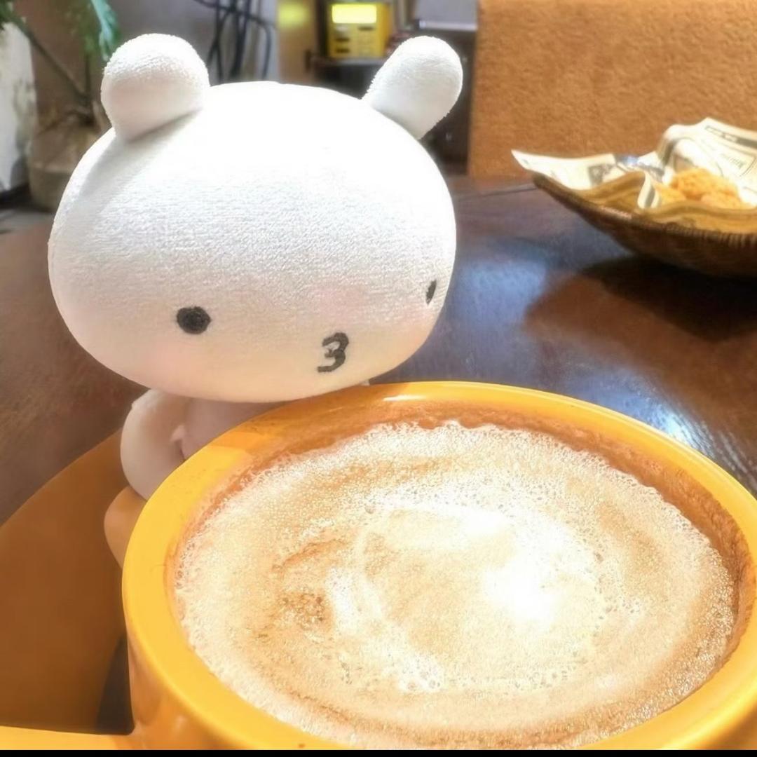 小冬宝