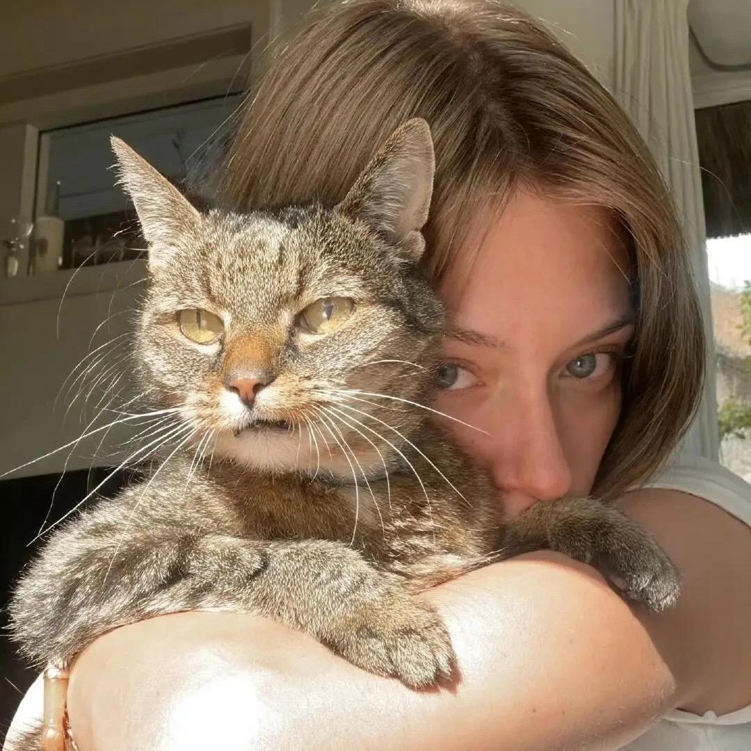 😶‍🌫️😶‍🌫️😶‍🌫️