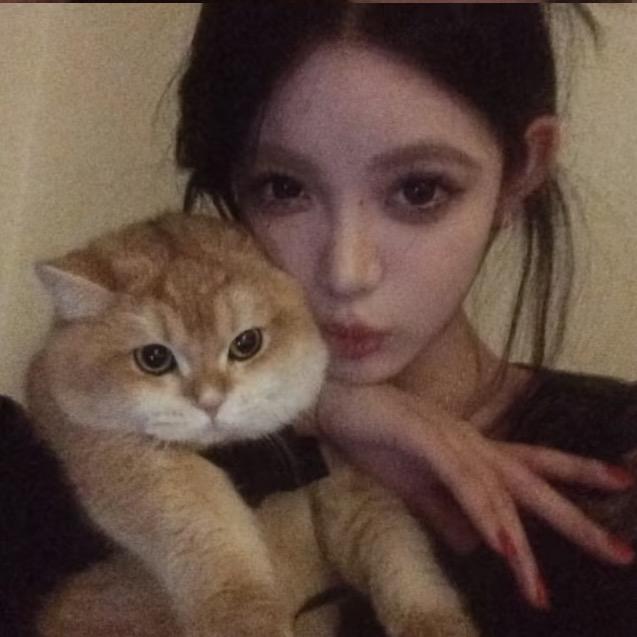 懒咪咪💤