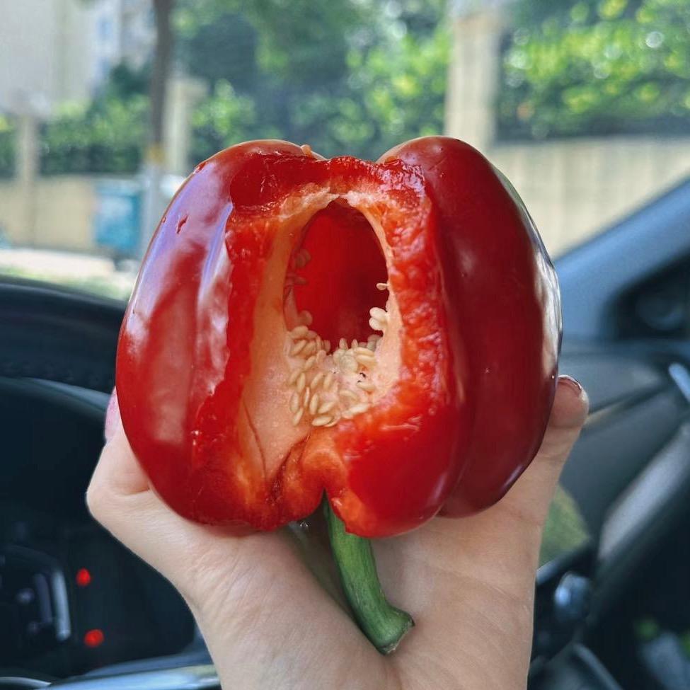 红椒肉丝