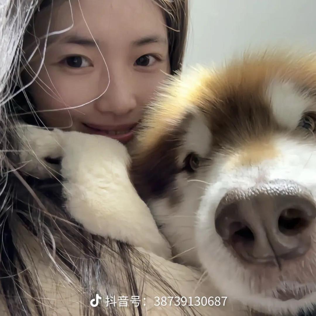 养一千只狗