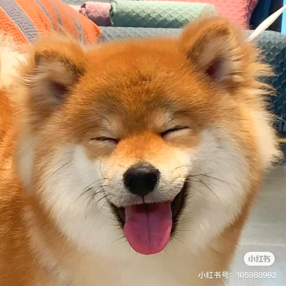 不打标点会哭的仙女