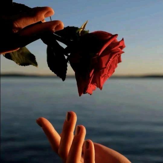 💦命中注定💦