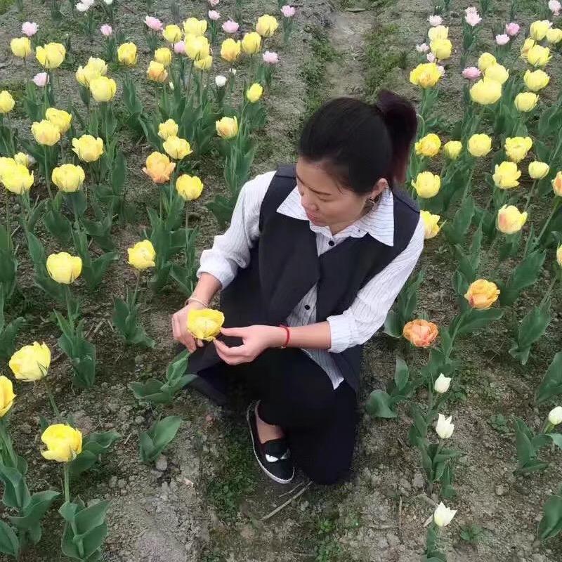仙女落凡陈
