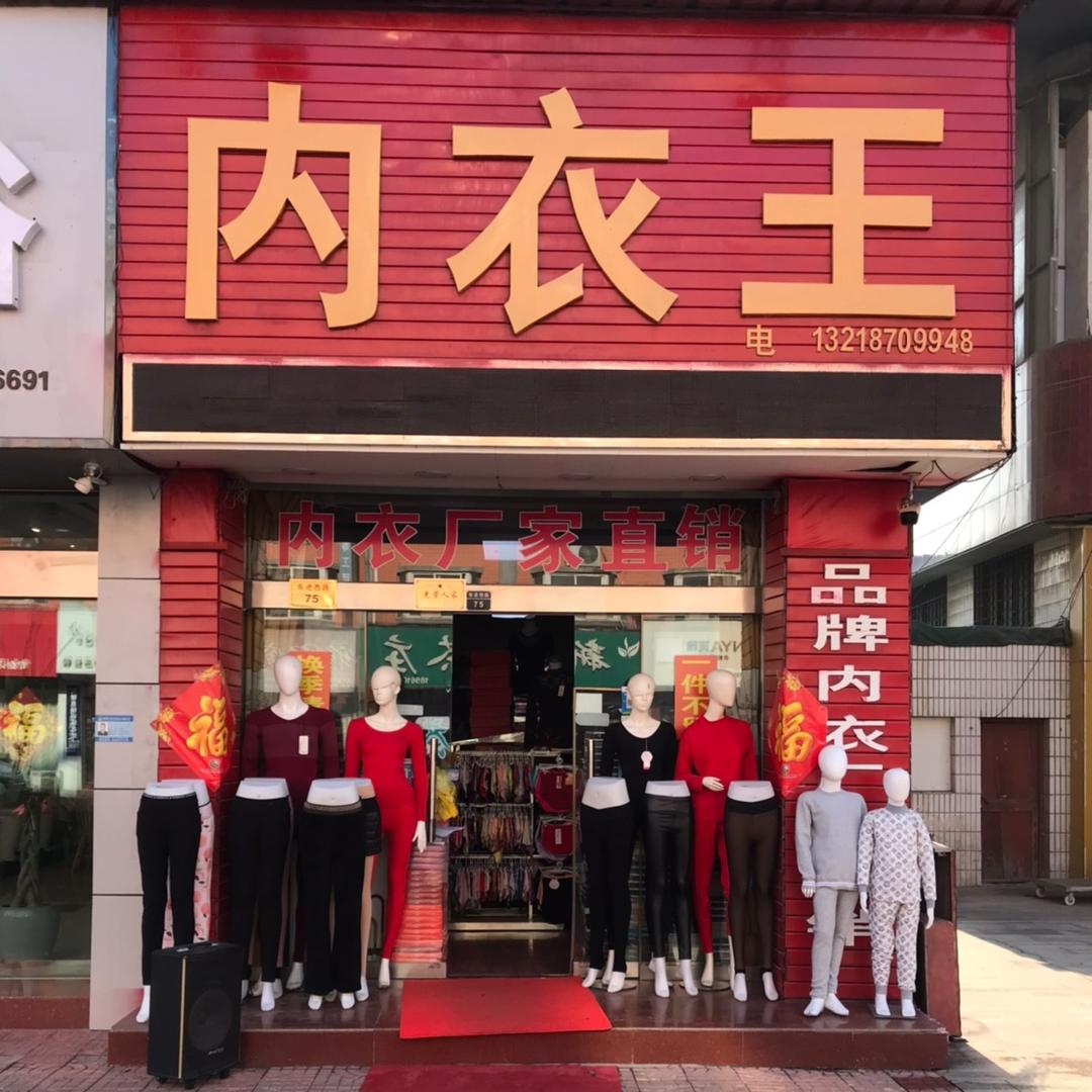 君子兰