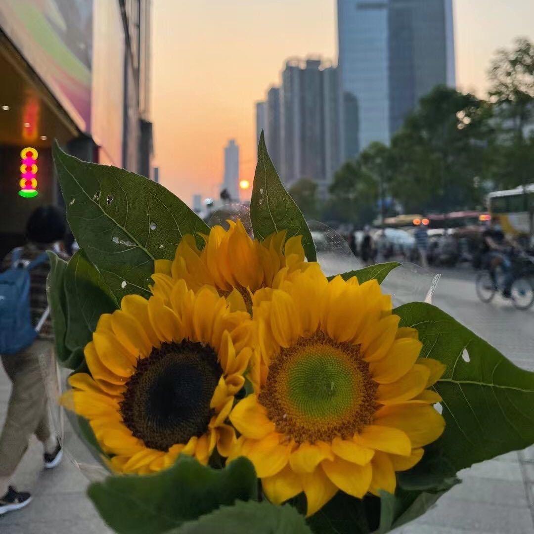 😍广州热心市民