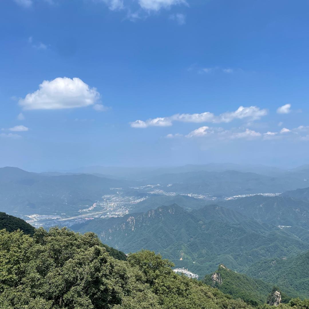 神秘人……………