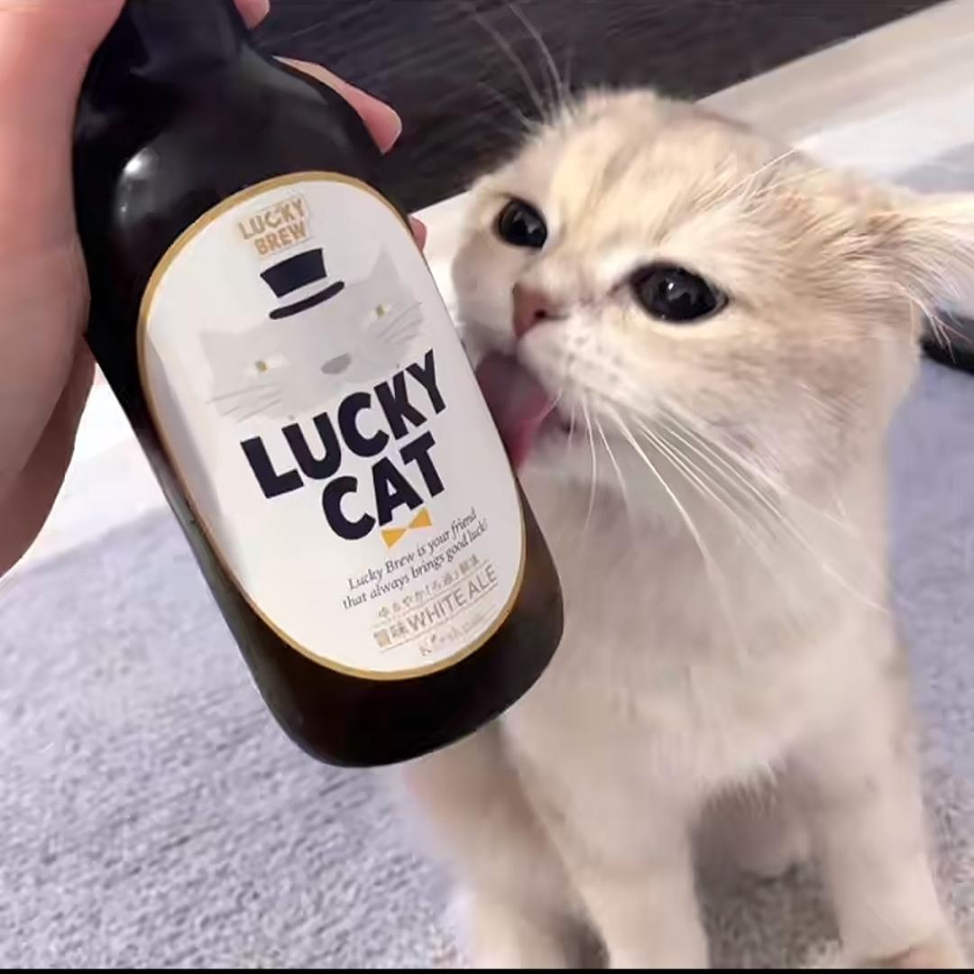 老公说不改名就和我离婚.