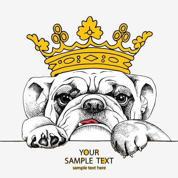 虾仁🍤猪心🐷