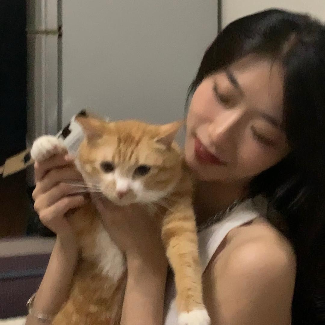 羊咩咩