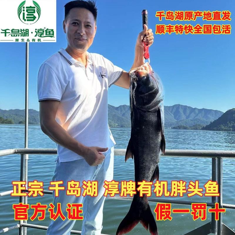 千岛湖淳鱼农品土特产