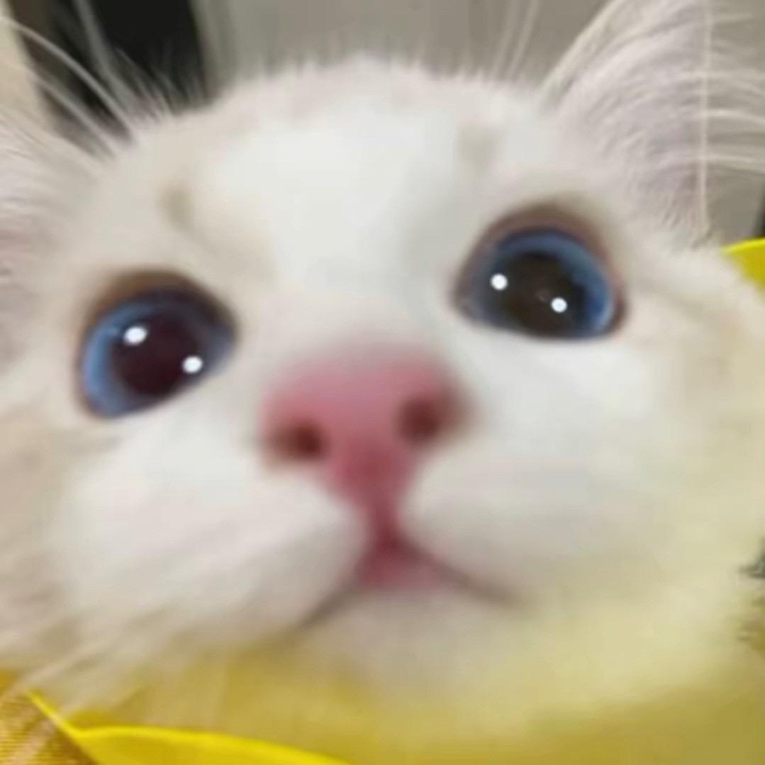倾禧