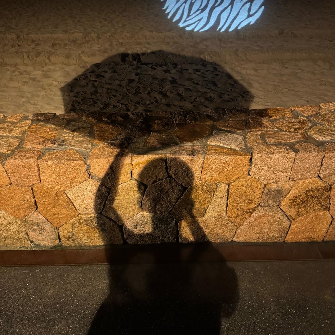 本人要当四阿哥