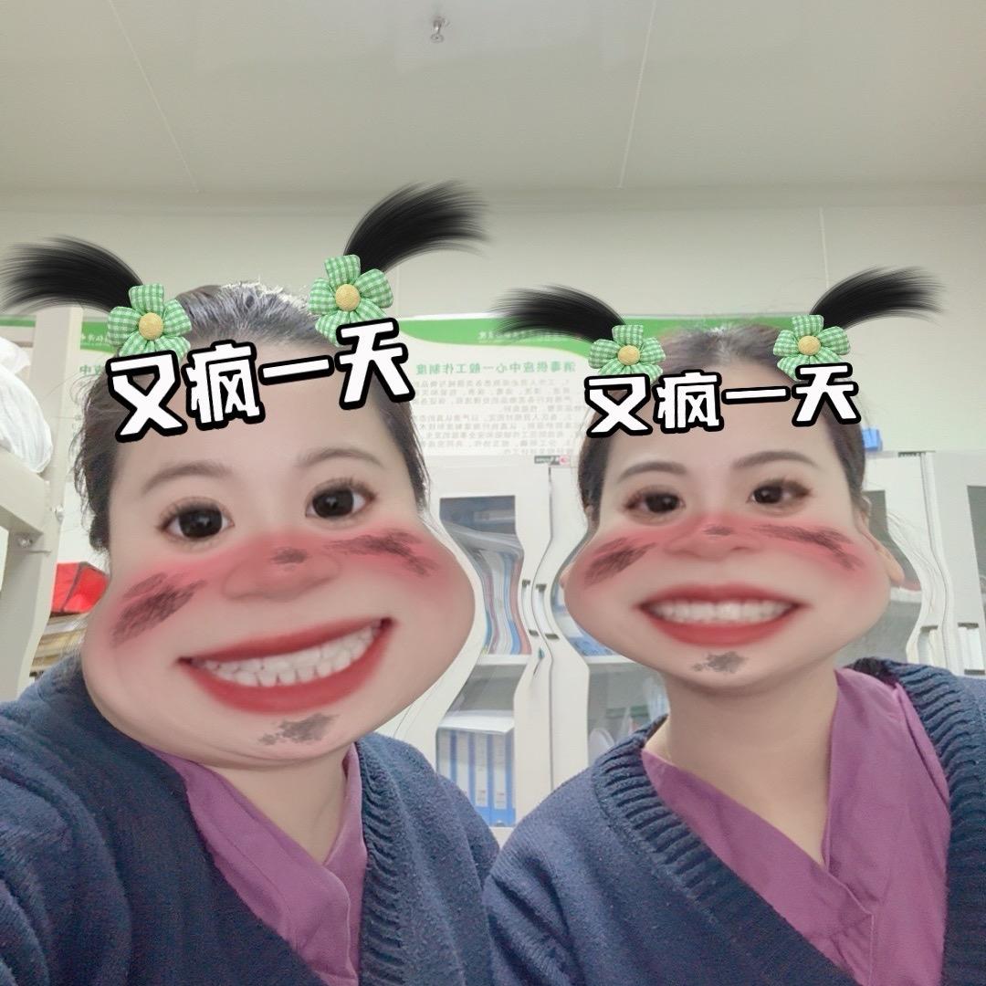 大刘小陈(发疯版)