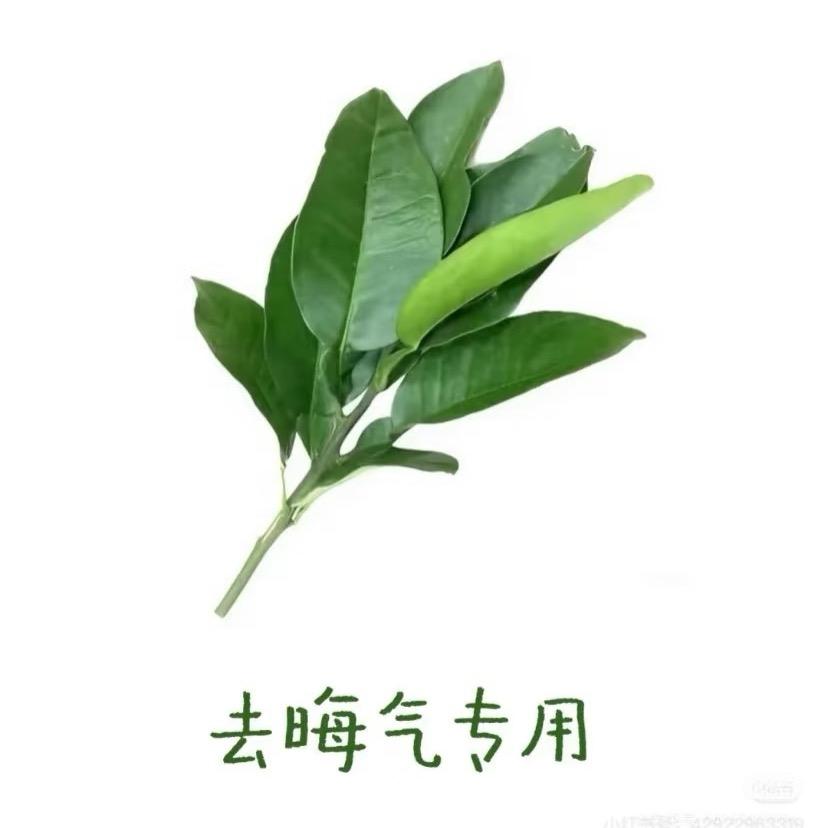 伤不起就别玩