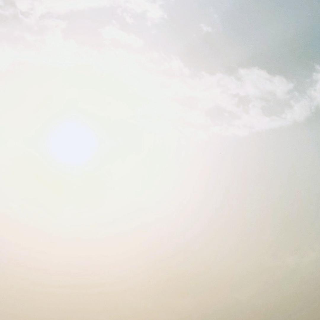 小羊.
