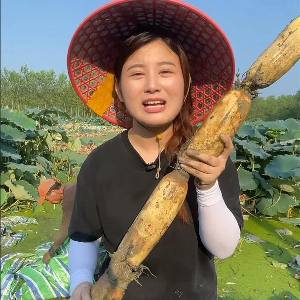 挖莲藕的村花