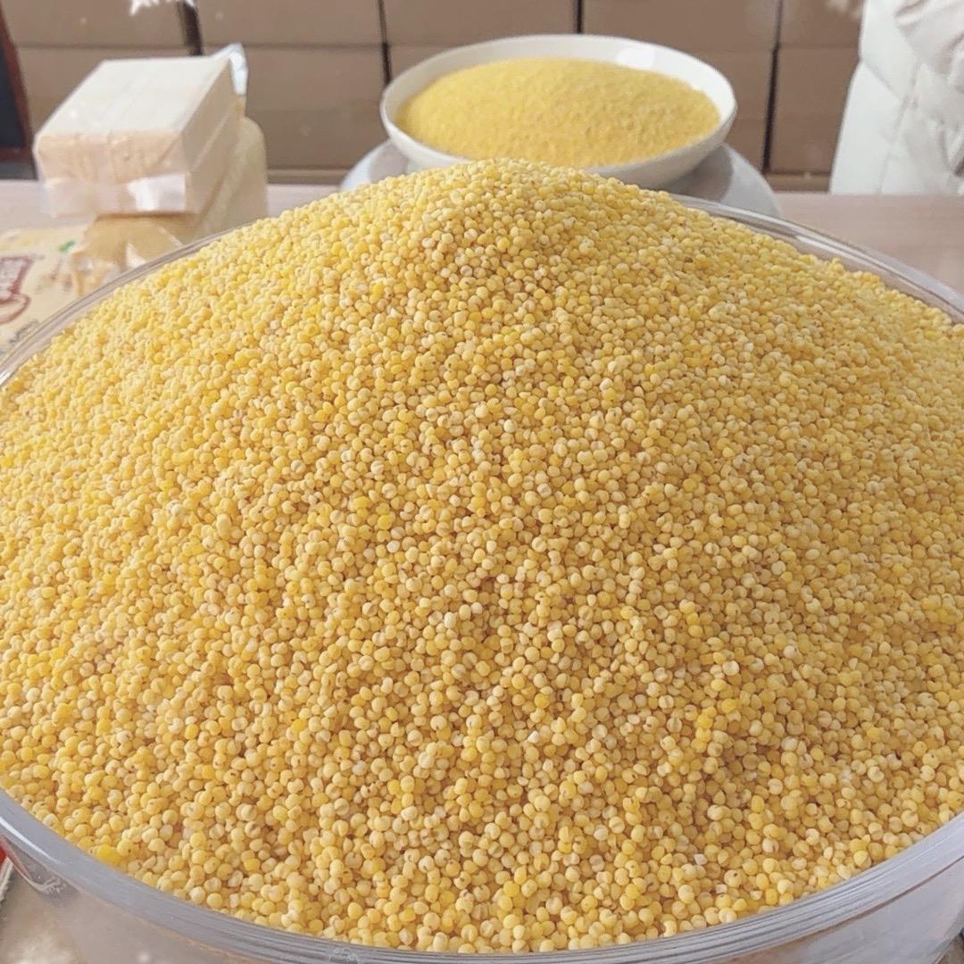 乡村山货农产品