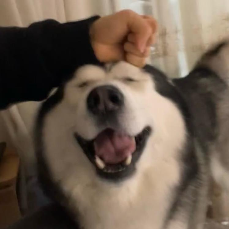 好了什么都别说了