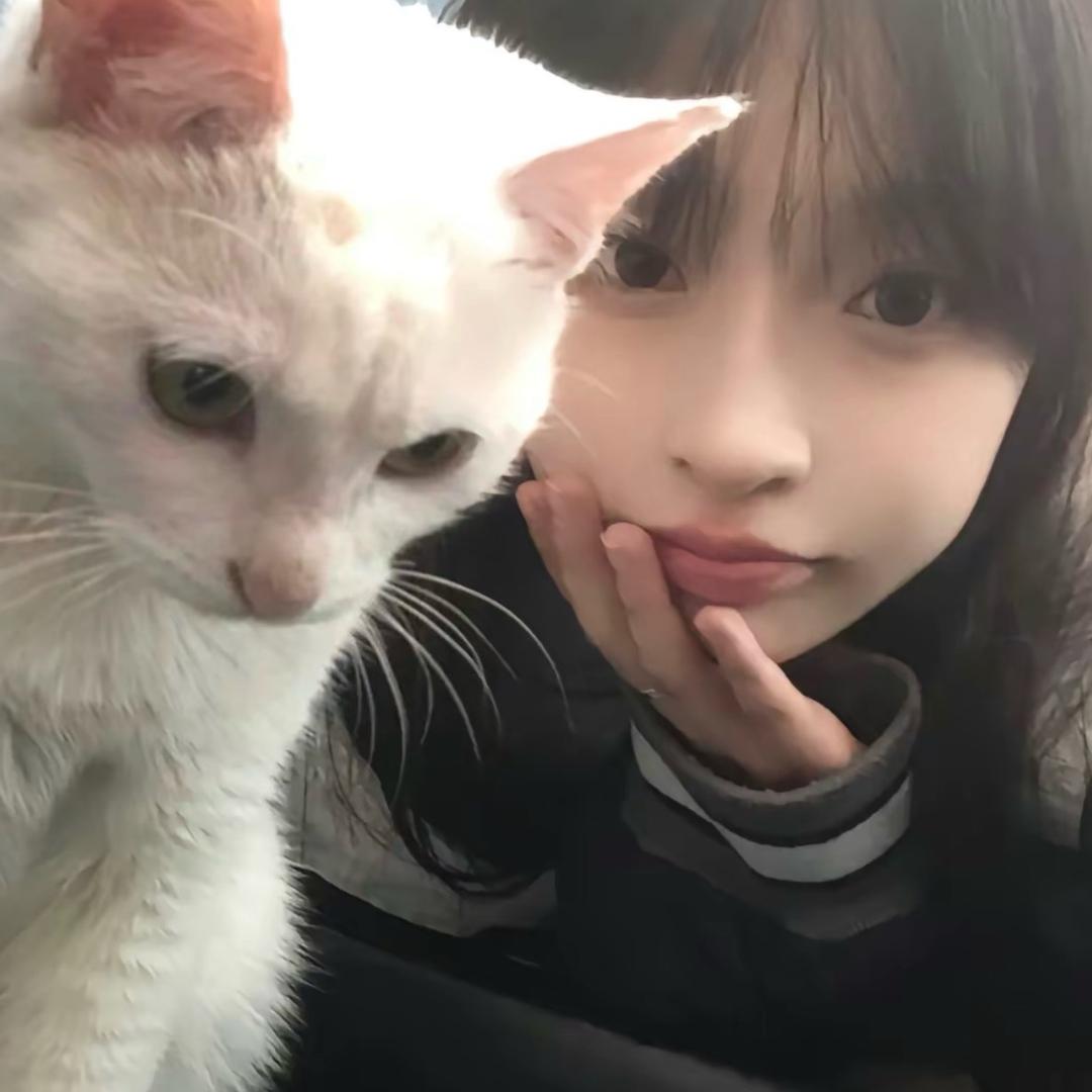 腼腆怡子