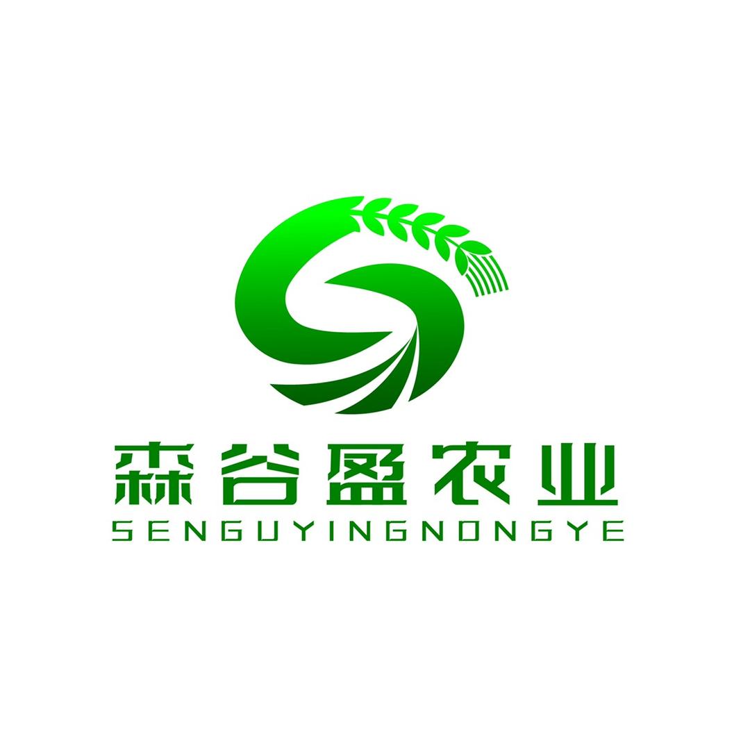 森谷盈
