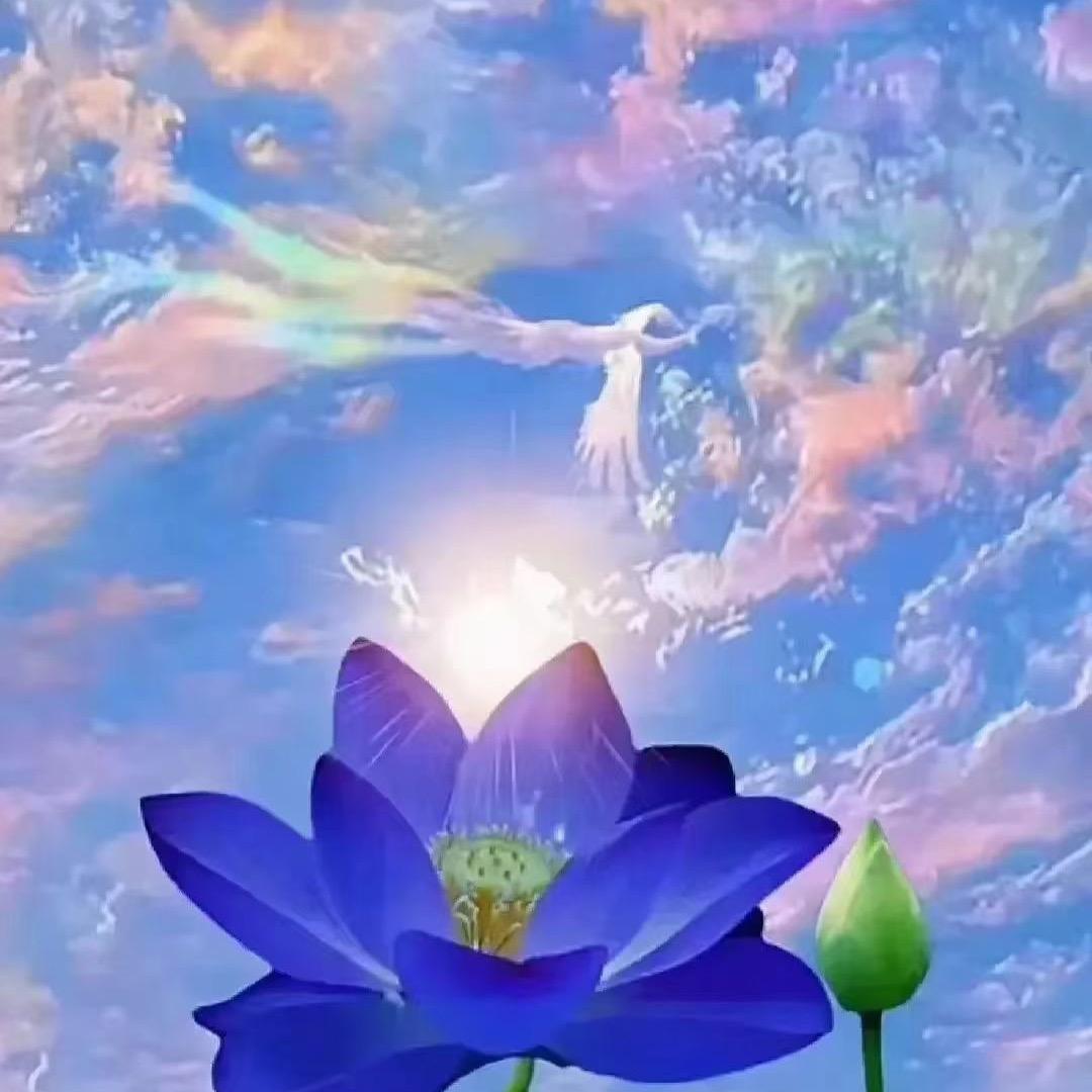 奋斗的小洁
