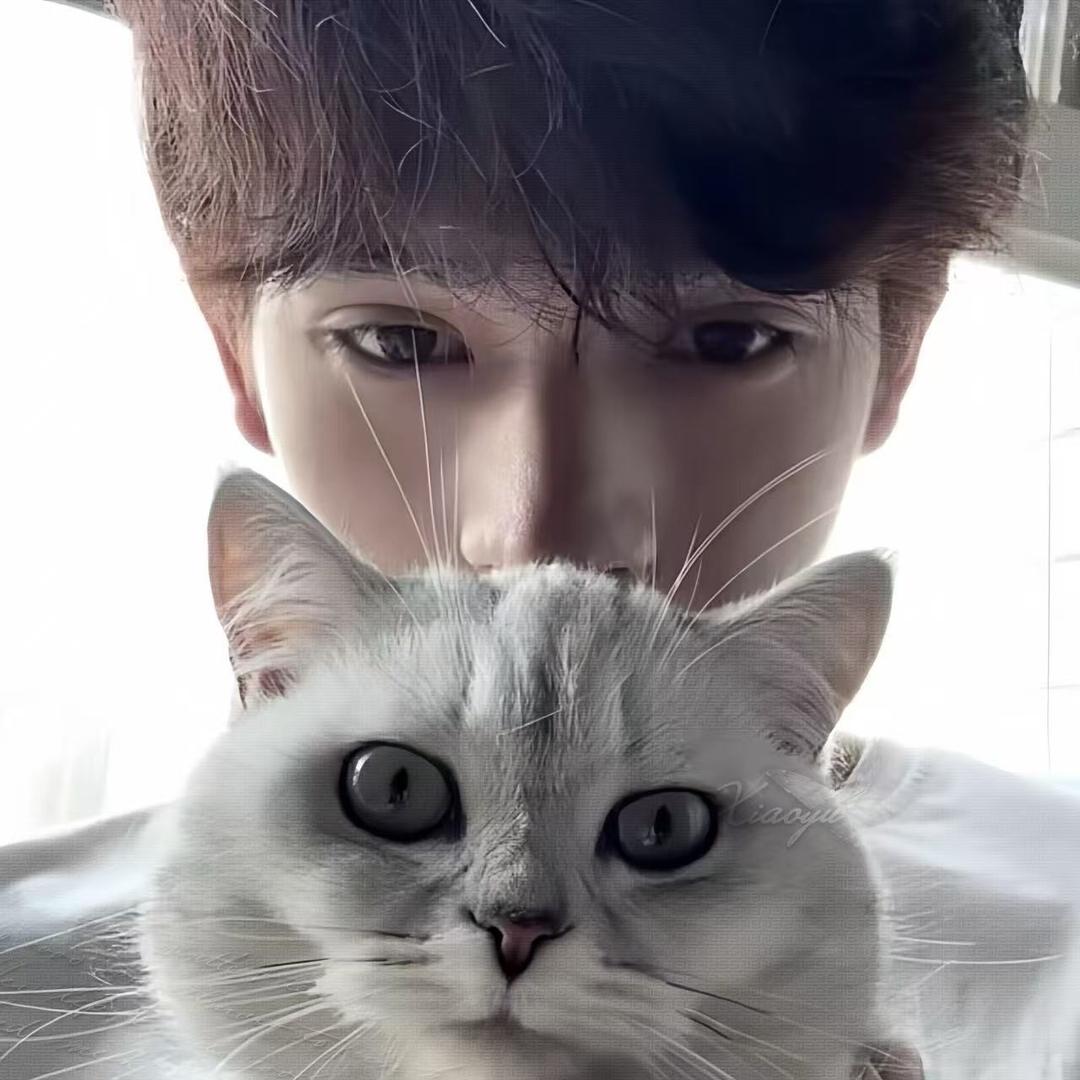 米奇（三角洲手游考官）60/500w