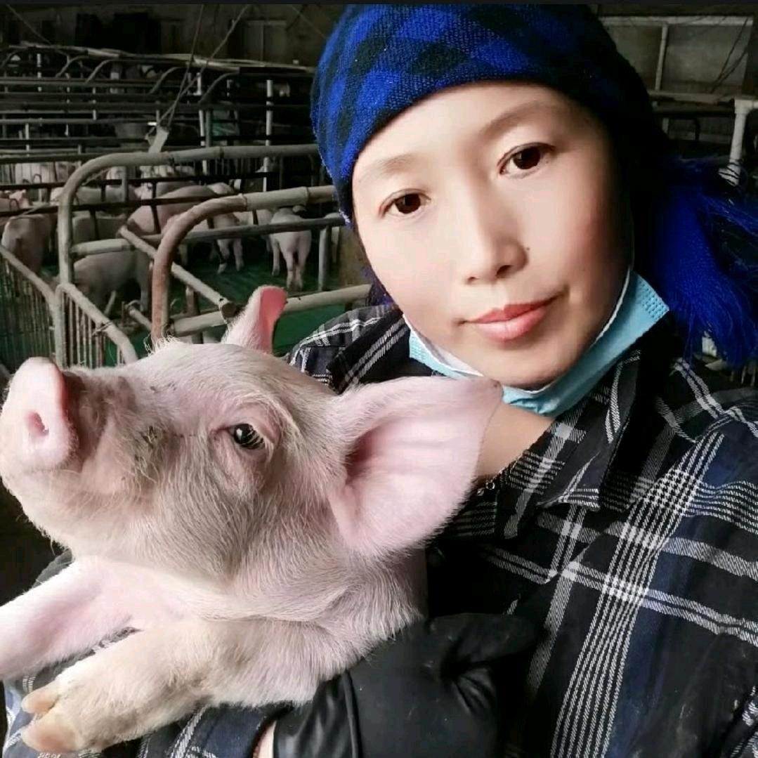 农村养殖农场