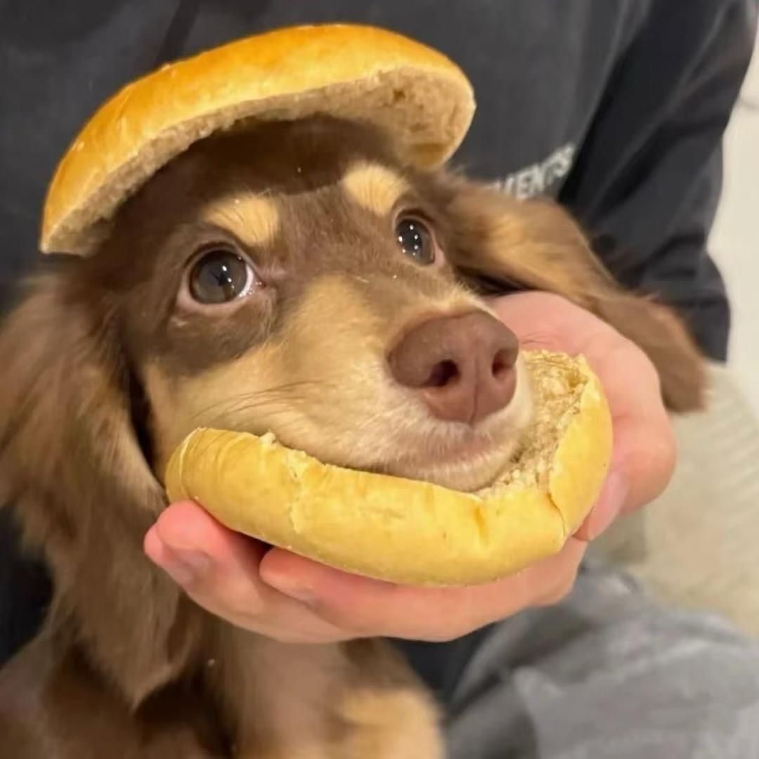𝘾𝙃𝙖𝙞梦梦^