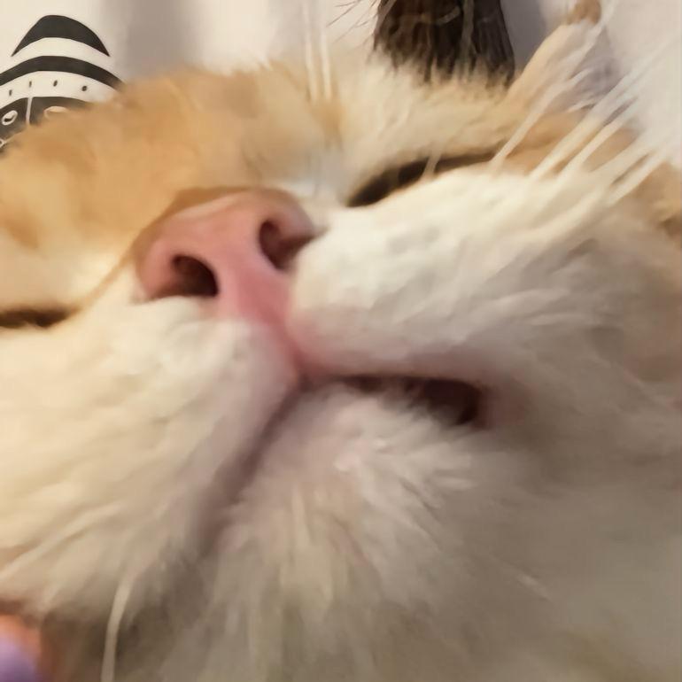 昔言