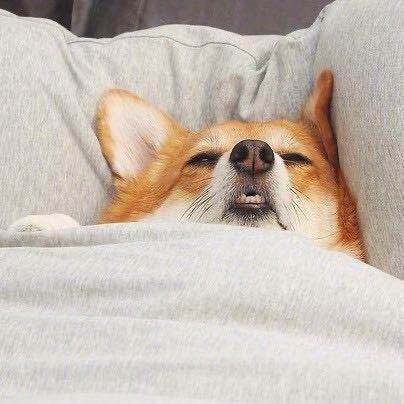 尘有心